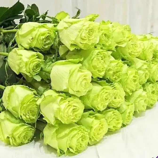 ЛЕМОНАД 60 см — с доставкой