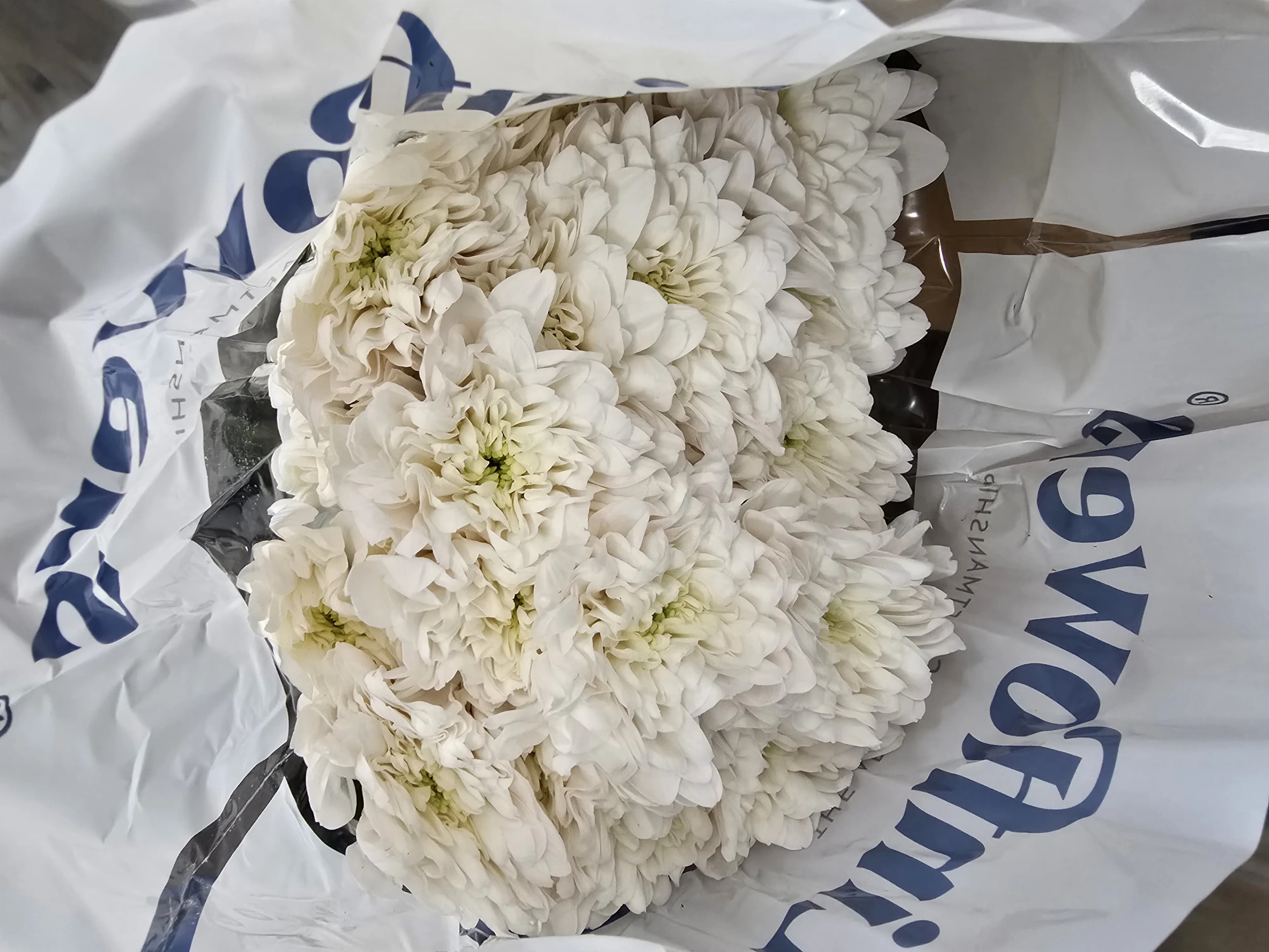 Балтика Linflowers — слайд 1