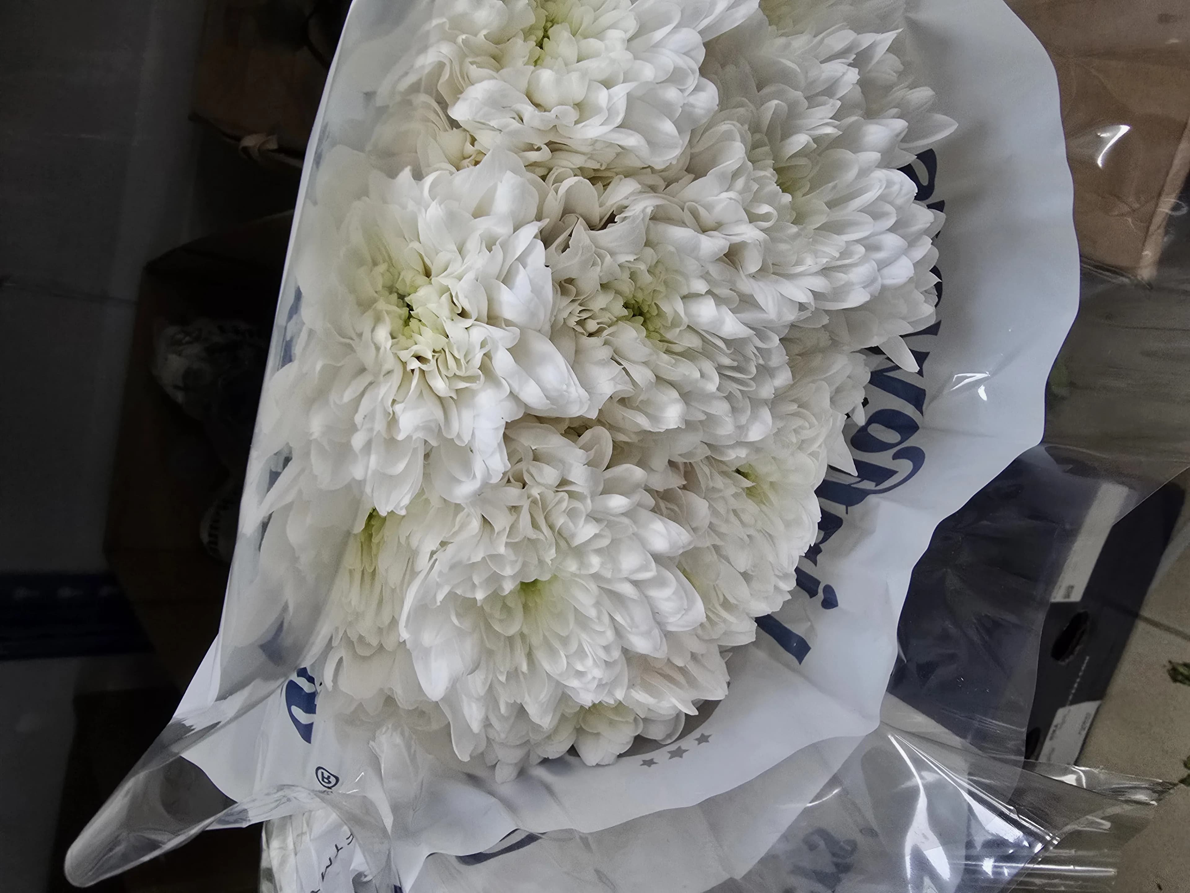 Балтика Linflowers — слайд 2
