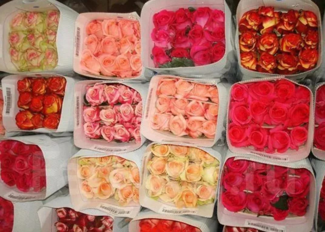 МИКСЫ 40 см — с доставкой